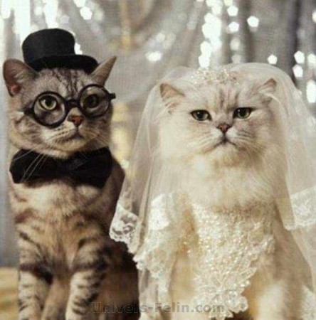 petit mariage