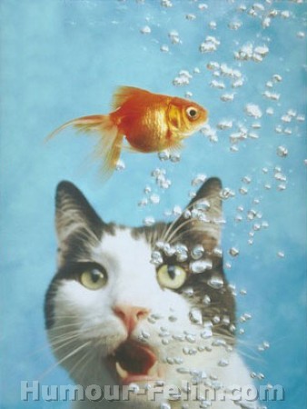 a l'eau