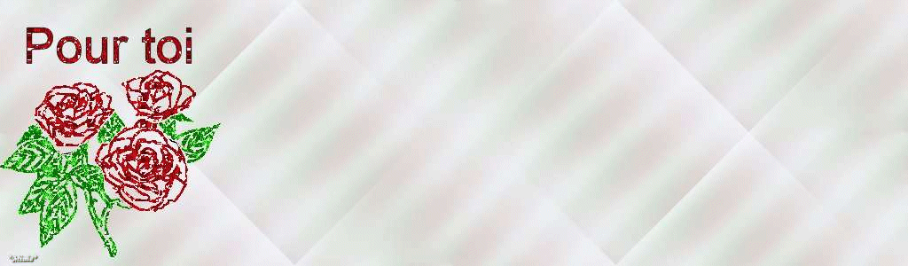 tout pour toi